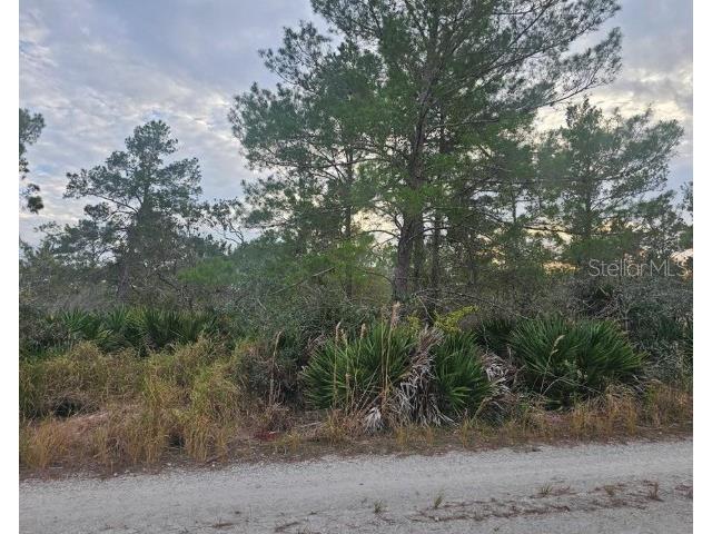 2225 Algonquin Drive Sebring FL 33875 P4938997 image1
