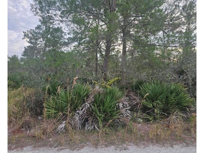 2225 Algonquin Drive Sebring FL 33875 P4938997 image4