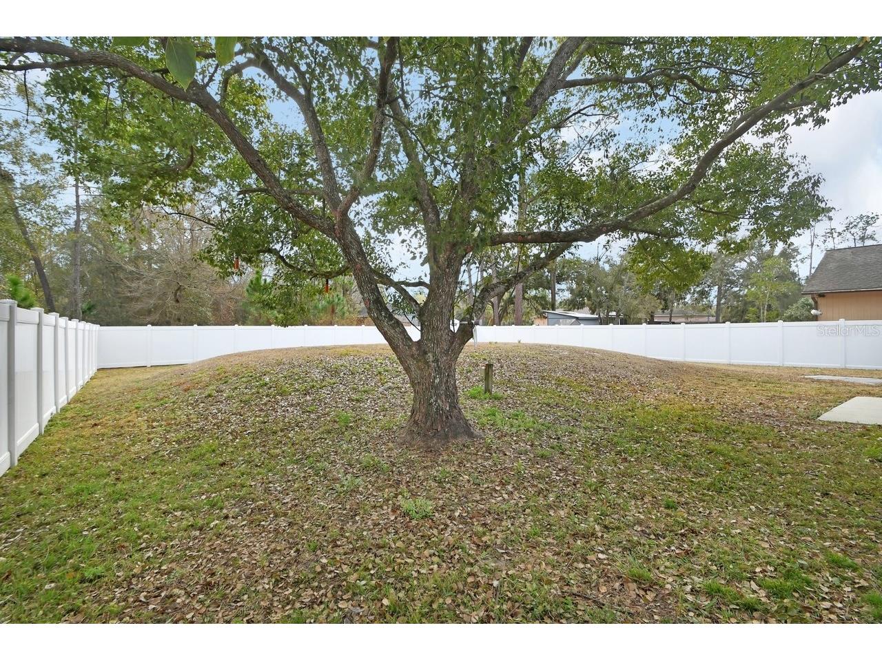 2225 Central Parkway Deland FL 32724 V4947406 image23