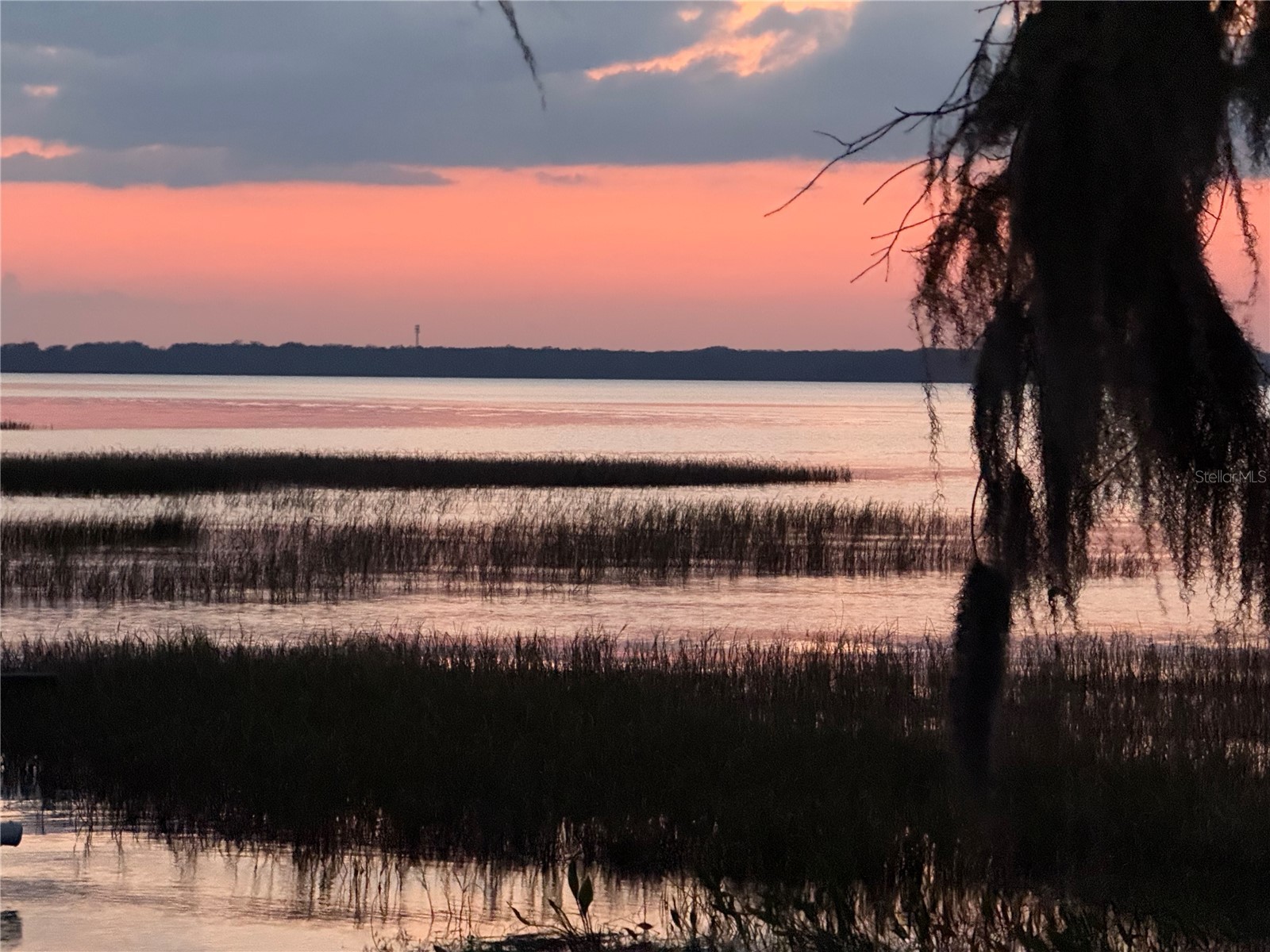 2225 Cypress Court #2C Tavares FL 32778 - LAKE EUSTIS G5110812 image31