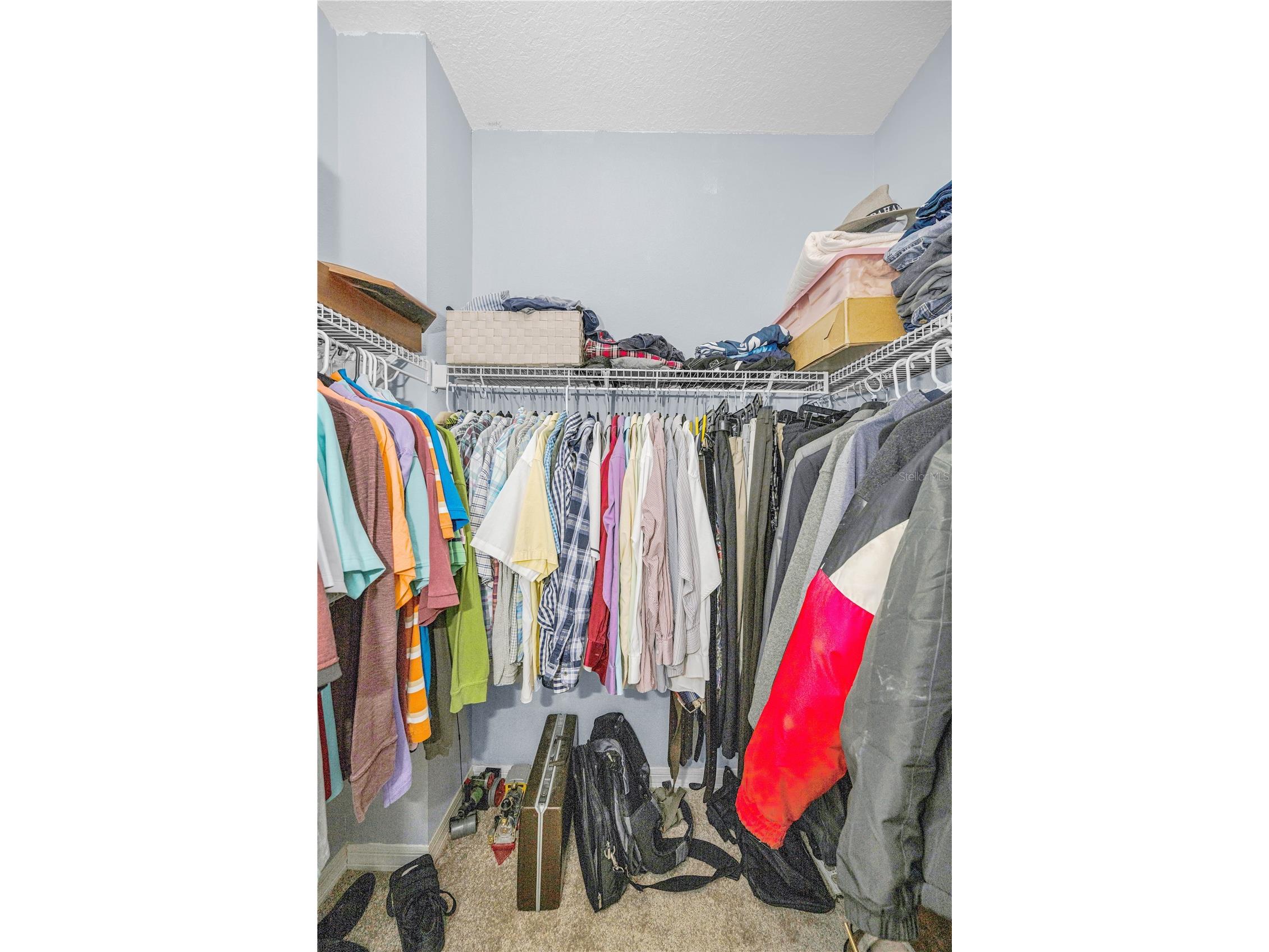 2225 Longmore Circle Valrico FL 33596 TB8475790 image22