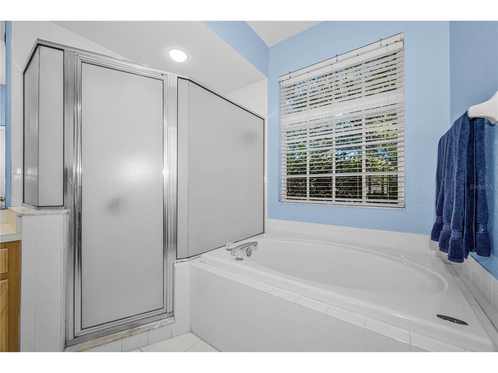 2225 Longmore Circle Valrico FL 33596 TB8475790 image25