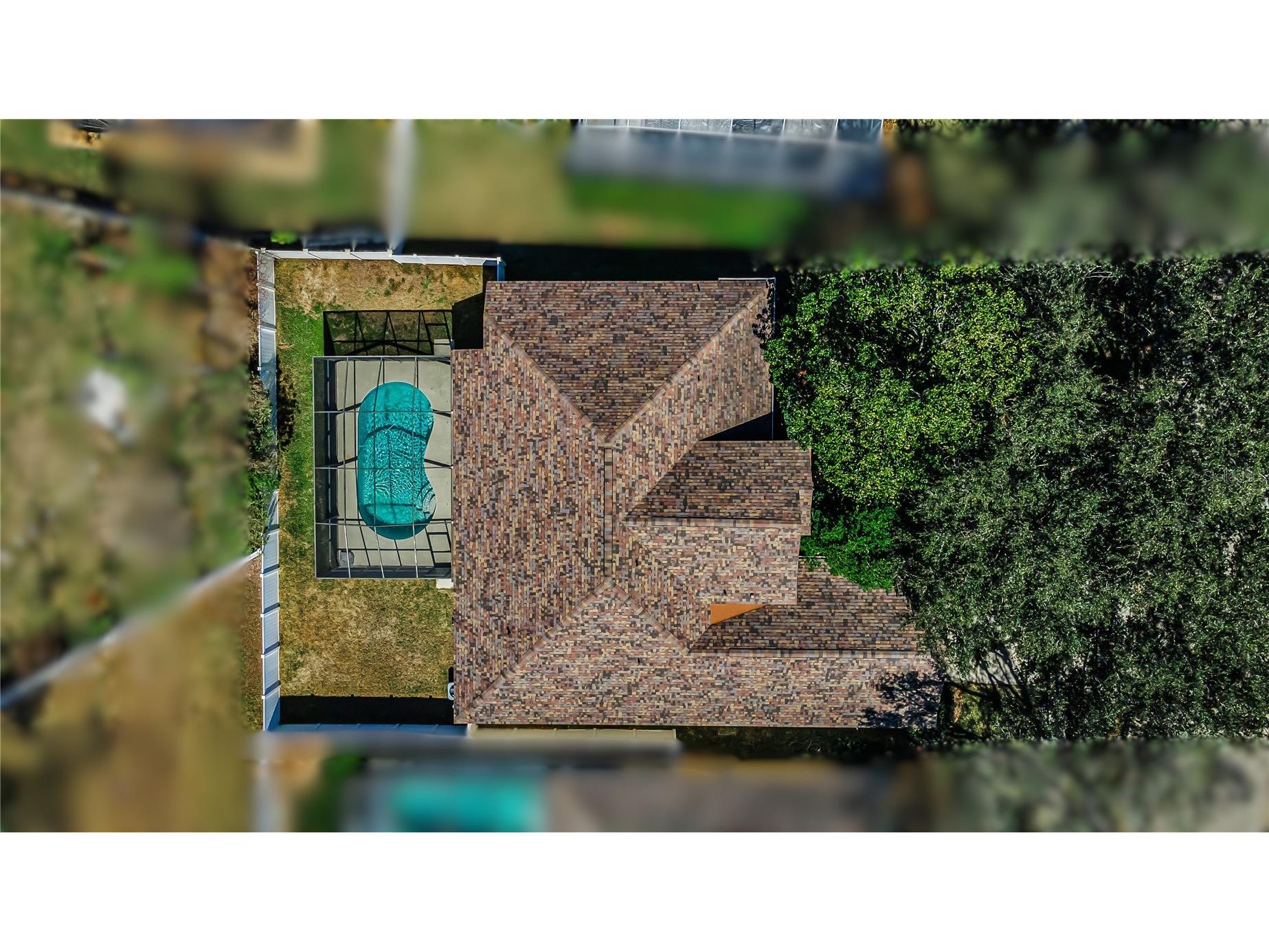 2225 Longmore Circle Valrico FL 33596 TB8475790 image39