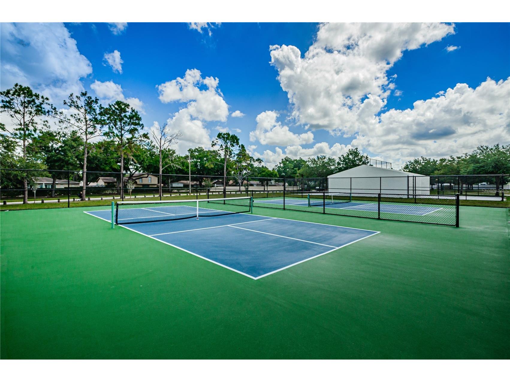 2225 Longmore Circle Valrico FL 33596 TB8475790 image43