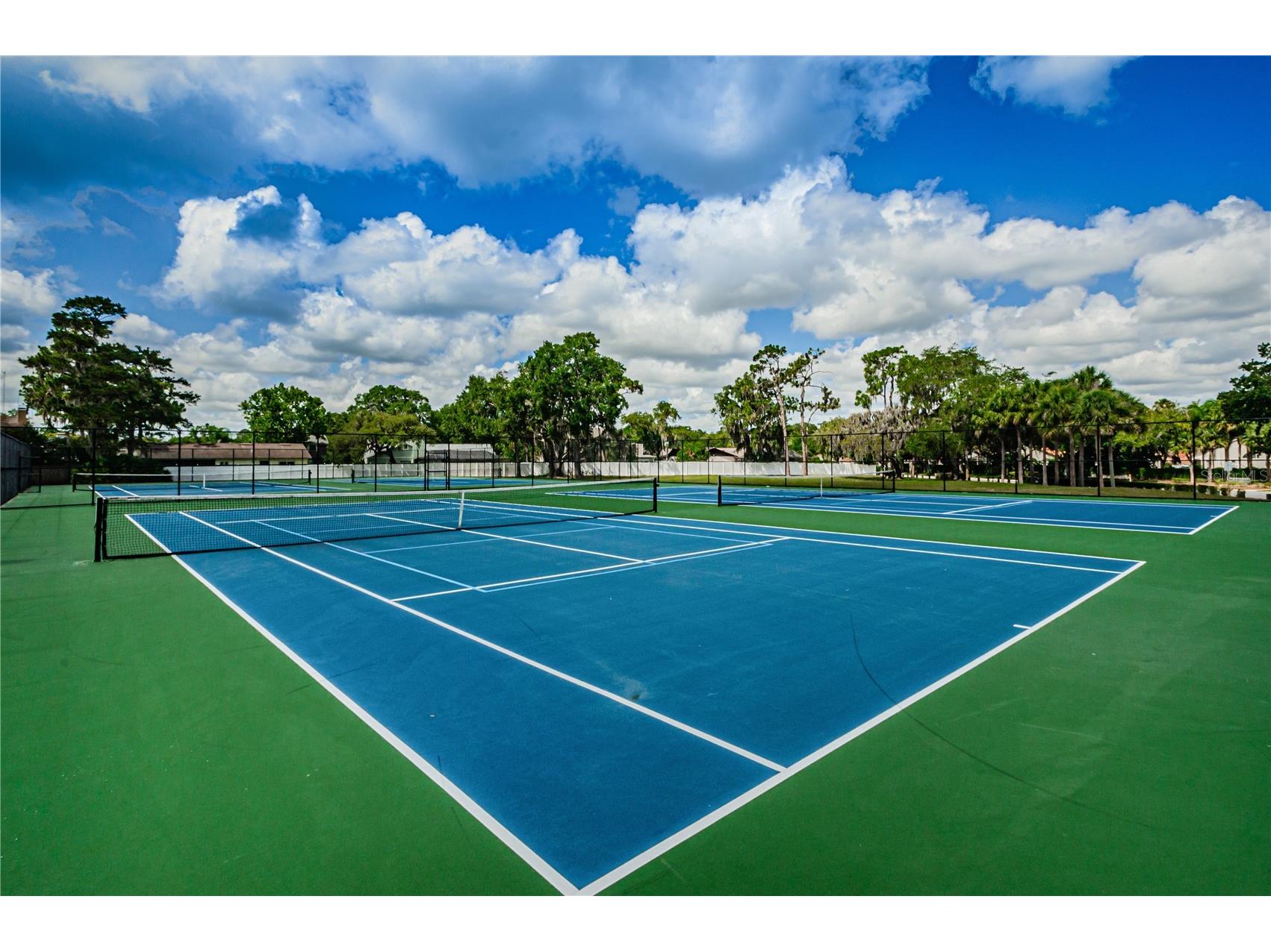 2225 Longmore Circle Valrico FL 33596 TB8475790 image44