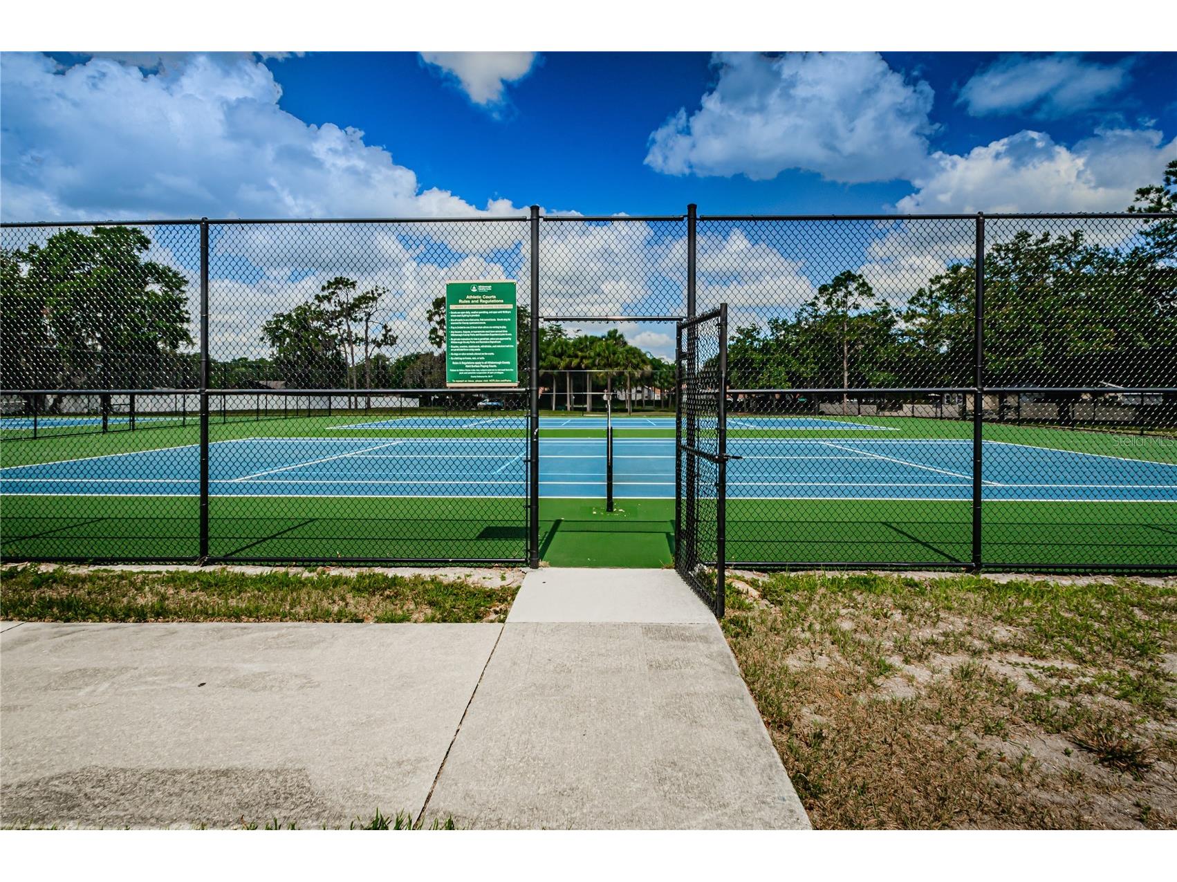2225 Longmore Circle Valrico FL 33596 TB8475790 image45