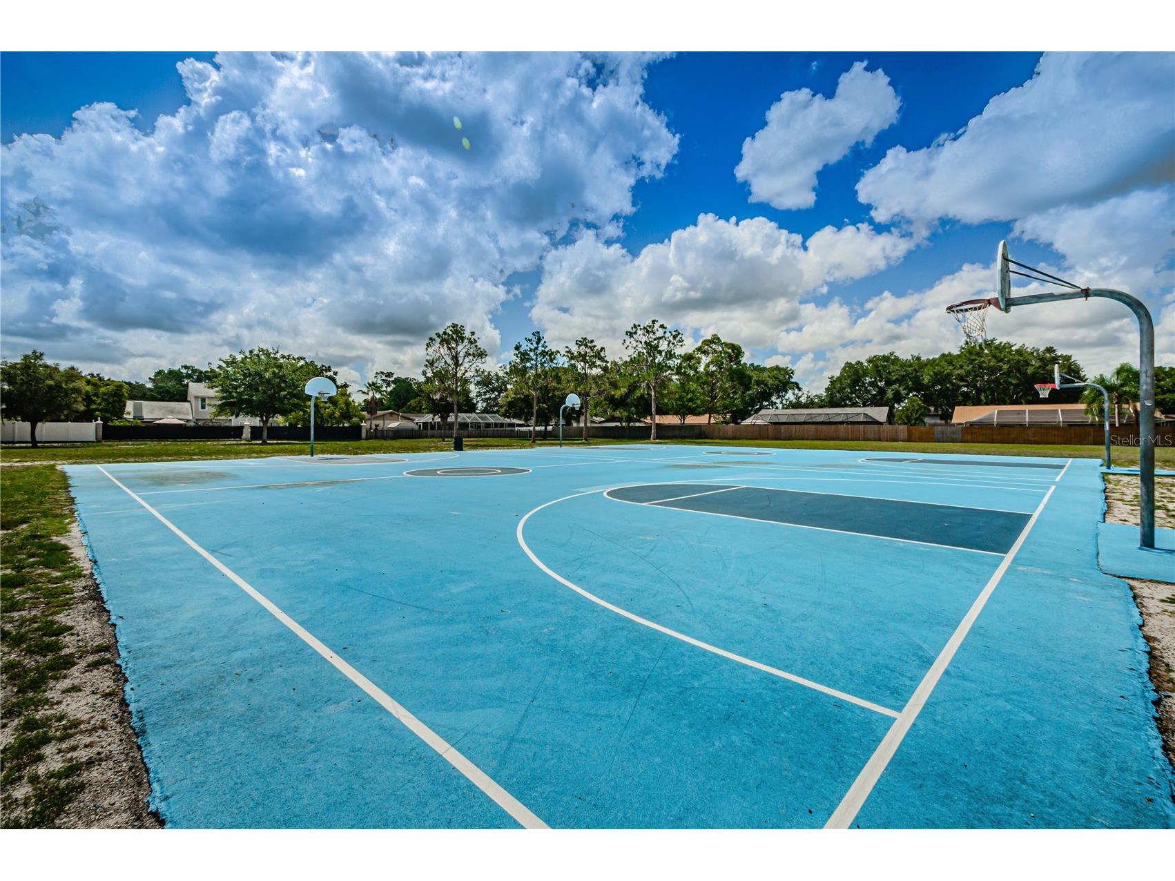 2225 Longmore Circle Valrico FL 33596 TB8475790 image46