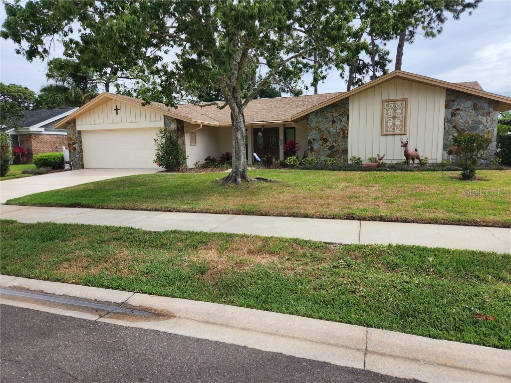 2225 Toniwood Lane Palm Harbor FL 34685 U8197186 image1