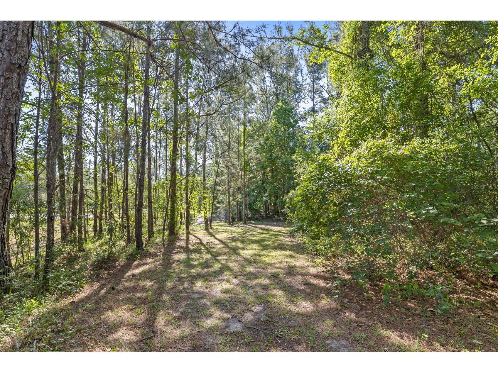 22250 Deer Park Avenue Eustis FL 32736 O6403268 image71