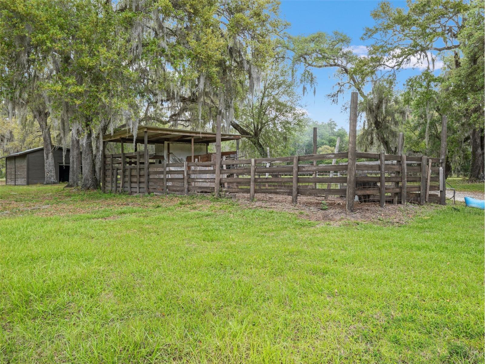 22250 Hayman Road Brooksville FL 34602 W7884470 image4