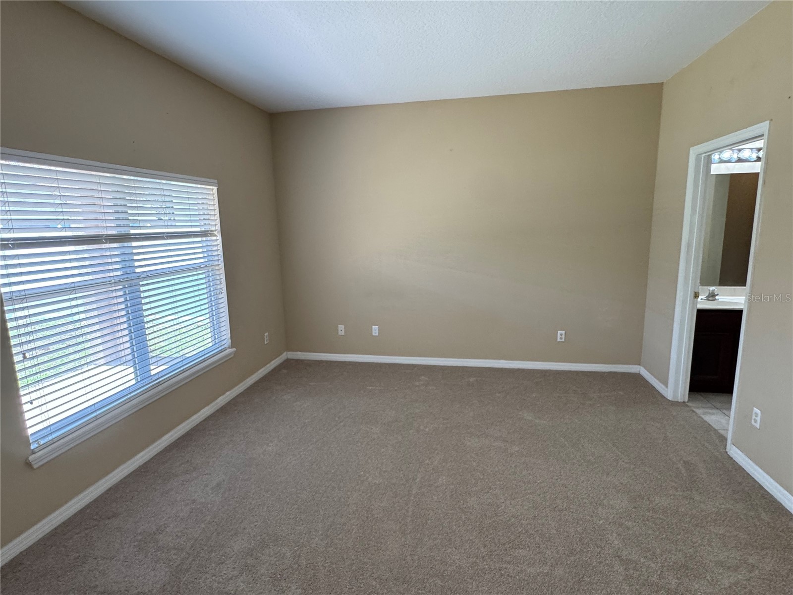 2226 Brandywine Falls Way Orlando FL 32824 O6389662 image22