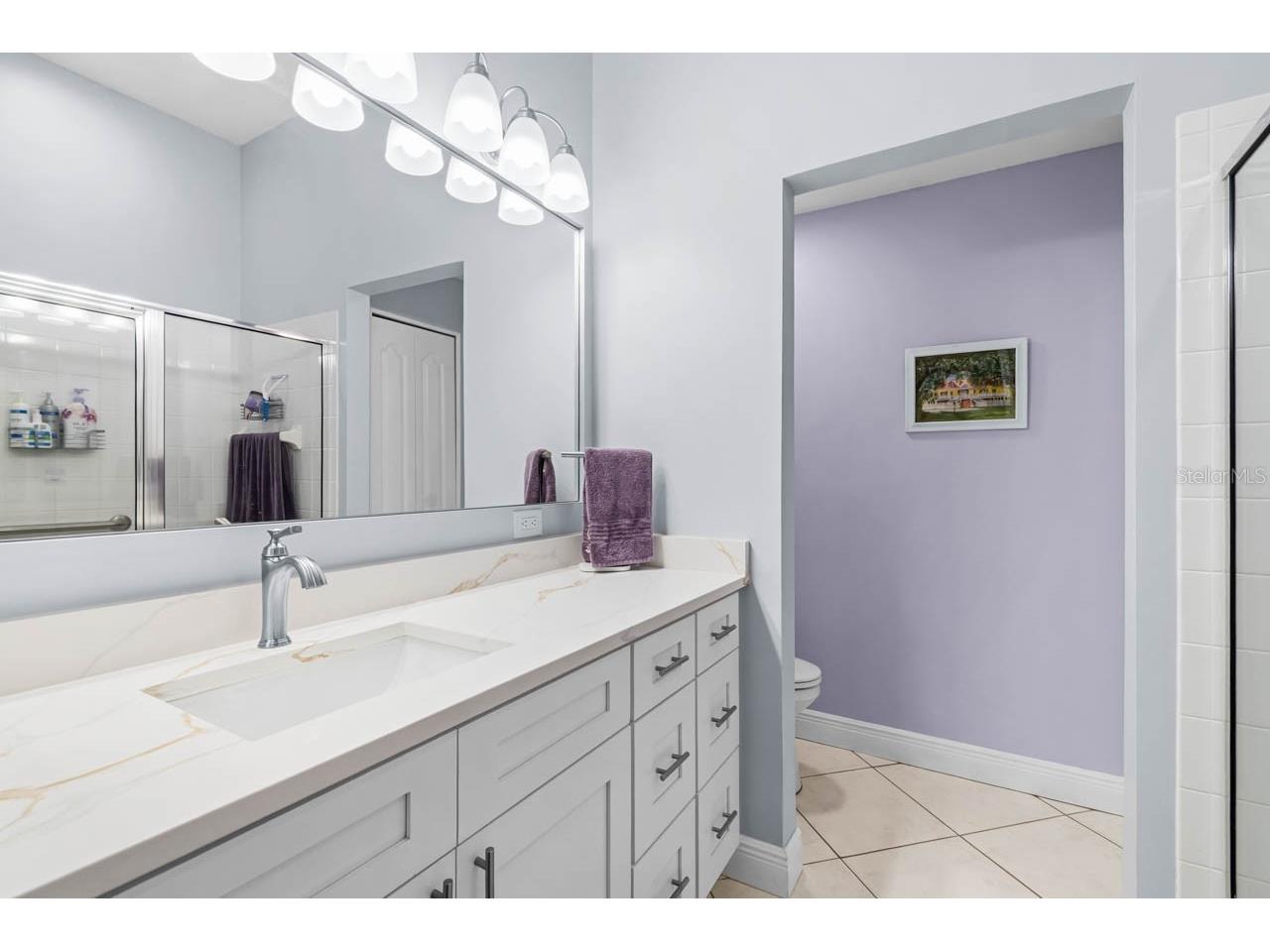 2226 Brookfield Greens Circle Sun City Center FL 33573 TB8475986 image27