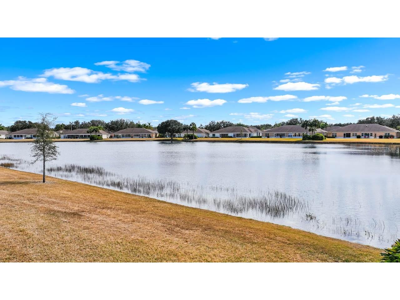 2226 Brookfield Greens Circle Sun City Center FL 33573 TB8475986 image49