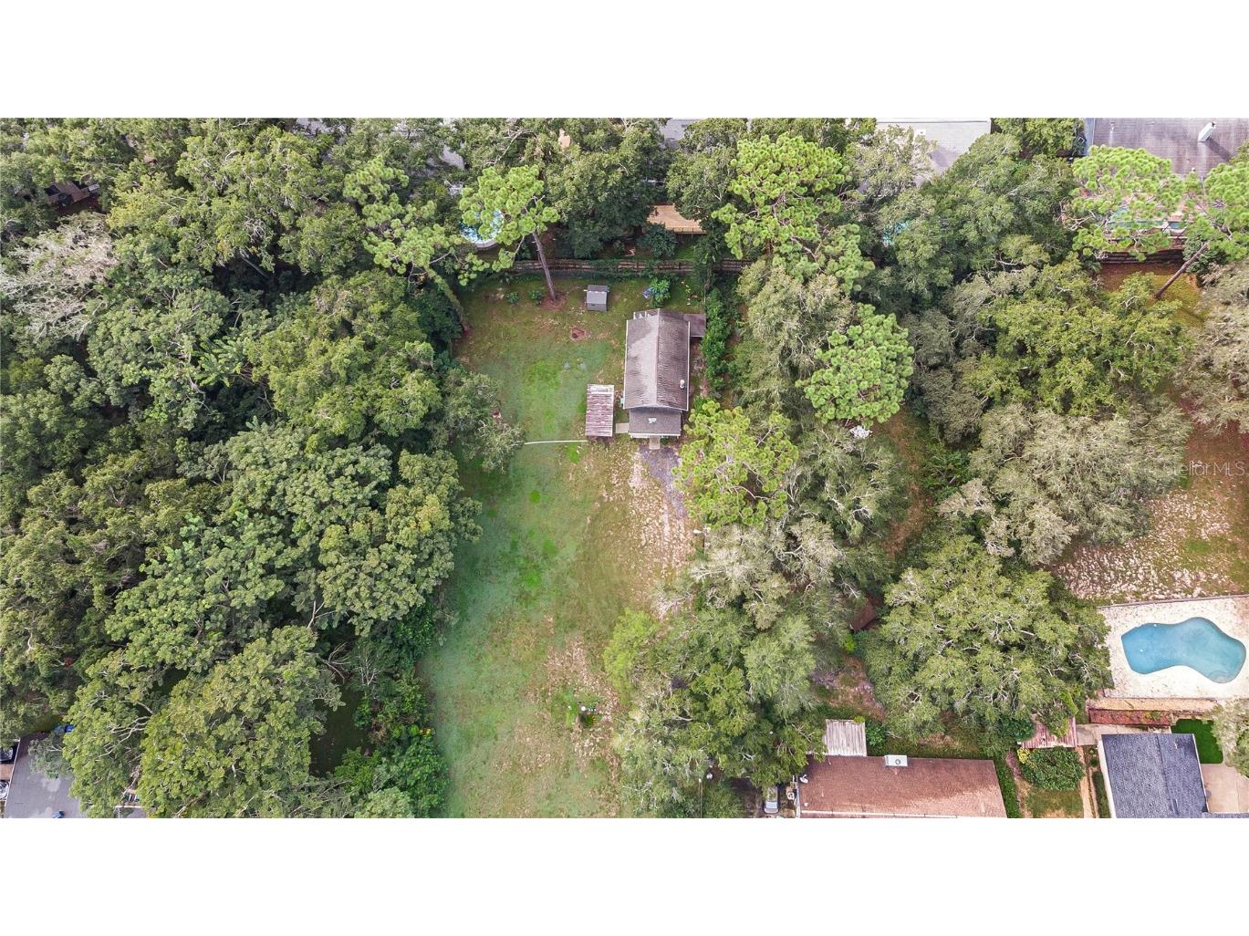 2226 Orchard Drive Apopka FL 32712 O6351556 image34