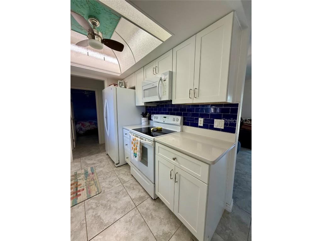 2226 S Daytona Avenue Flagler Beach FL 32136 FC315056 image7