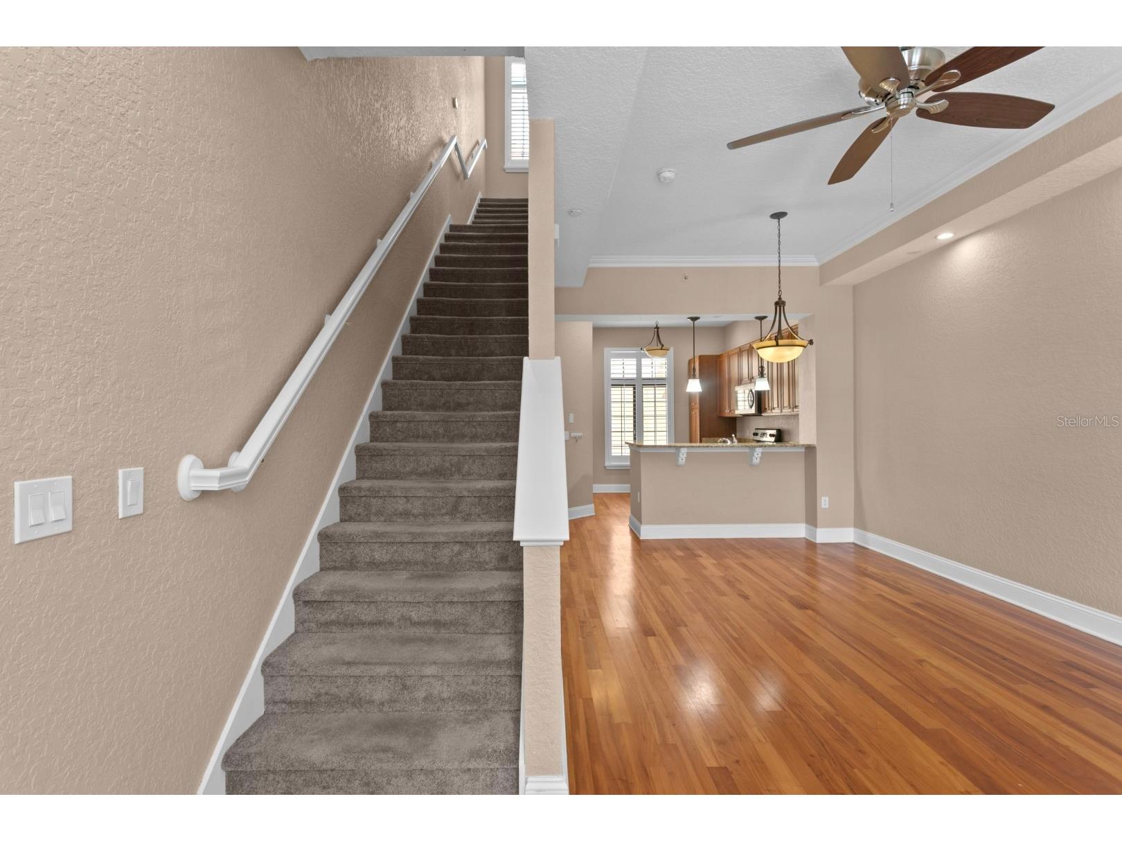 2226 Soho Bay Court Tampa FL 33606 TB8467219 image13