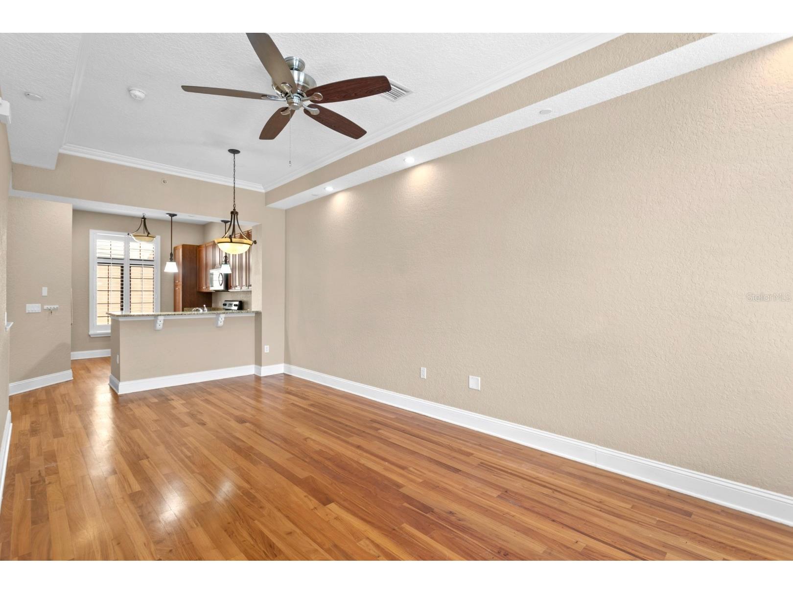 2226 Soho Bay Court Tampa FL 33606 TB8467219 image4