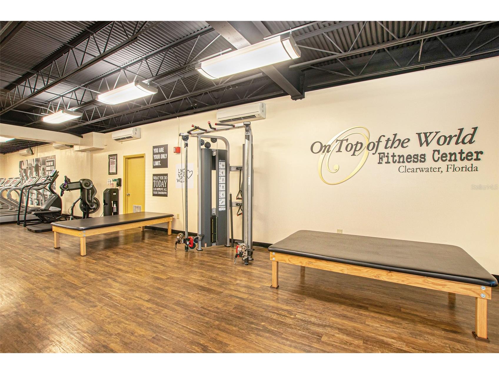 2226 Switzerland Way #46 Clearwater FL 33763 TB8474038 image85