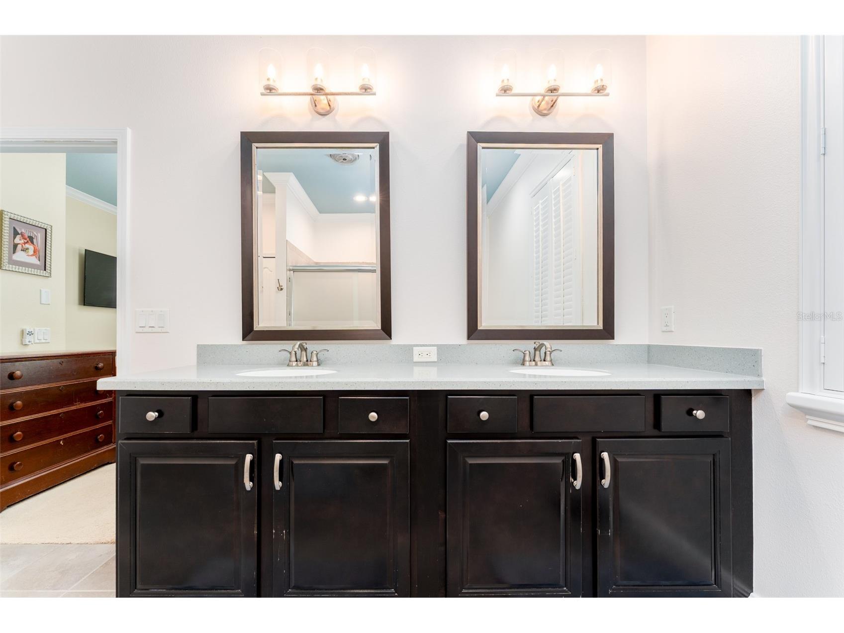 2226 Valterra Vista Way Valrico FL 33594 TB8519894 image18