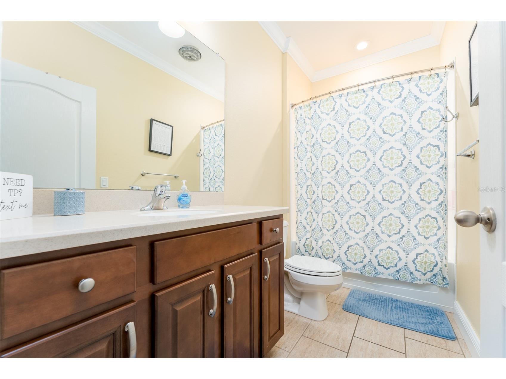 2226 Valterra Vista Way Valrico FL 33594 TB8519894 image28