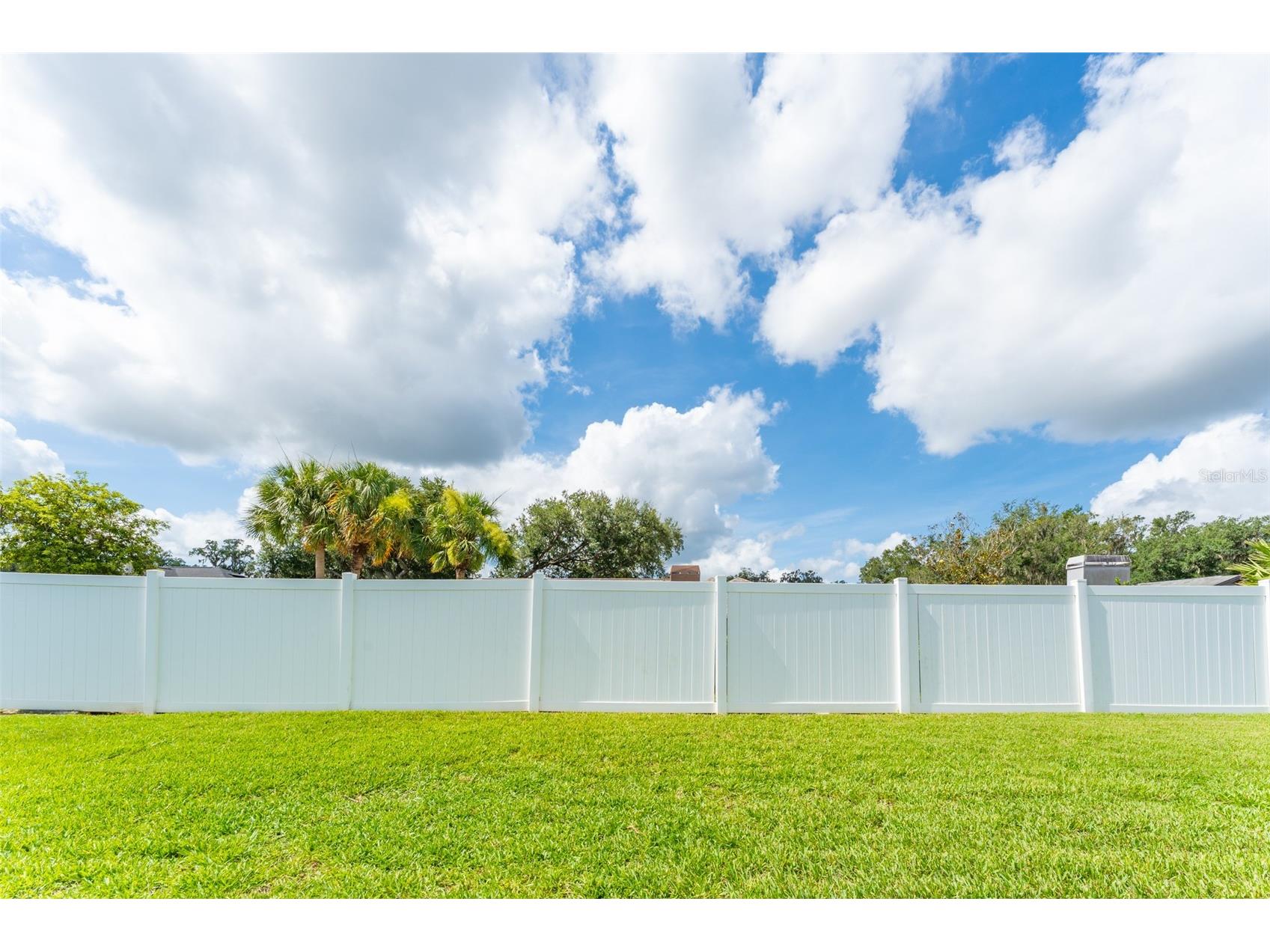 2226 Valterra Vista Way Valrico FL 33594 TB8519894 image36