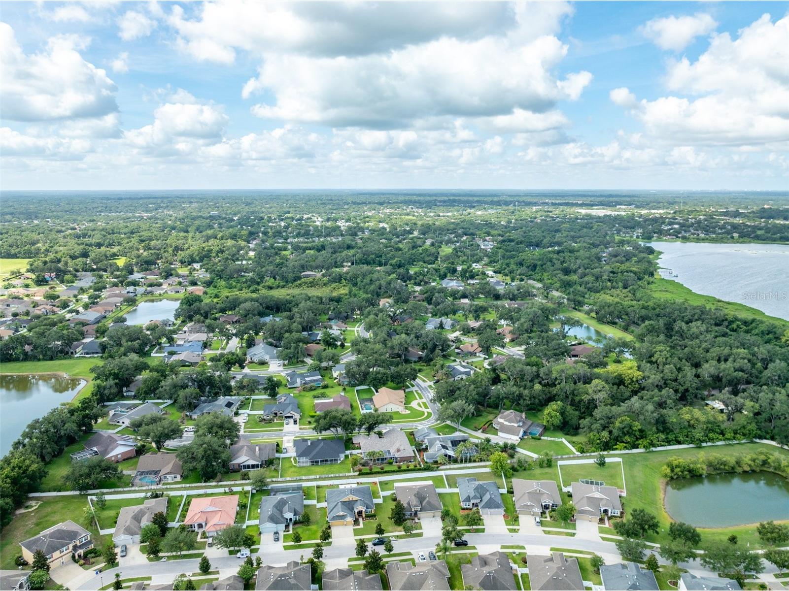2226 Valterra Vista Way Valrico FL 33594 TB8519894 image48