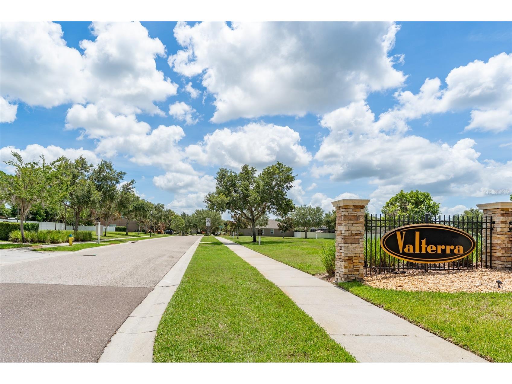2226 Valterra Vista Way Valrico FL 33594 TB8519894 image49