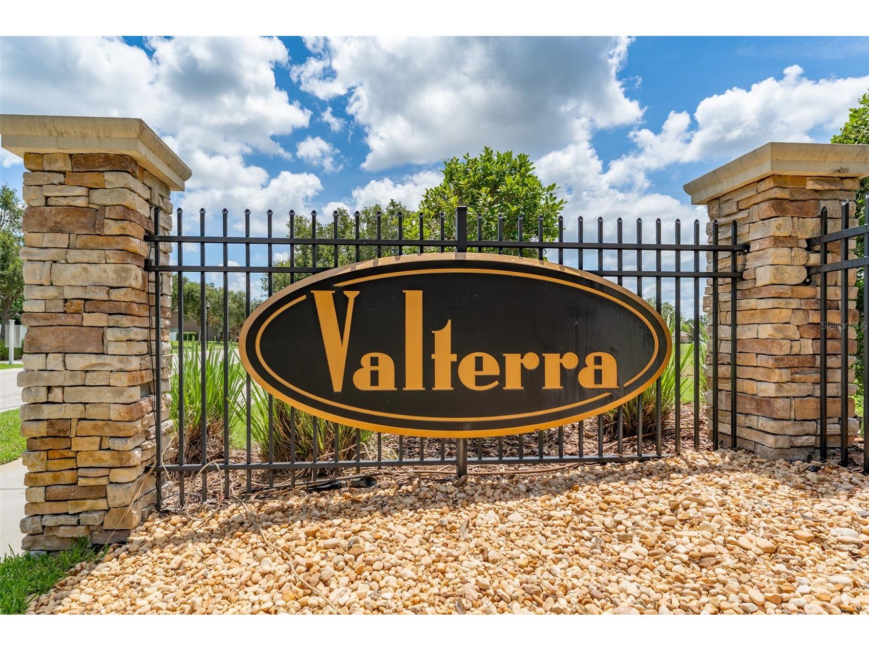 2226 Valterra Vista Way Valrico FL 33594 TB8519894 image50