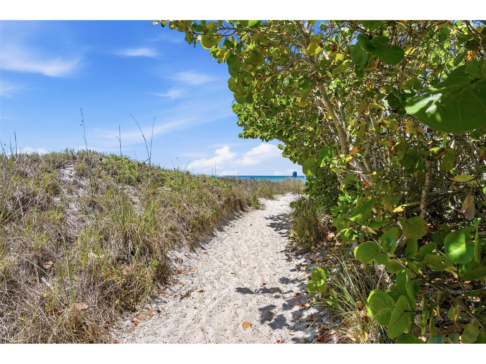 2227-2229 Montclair Drive #1&2 Sarasota FL 34231 A4677183 image44