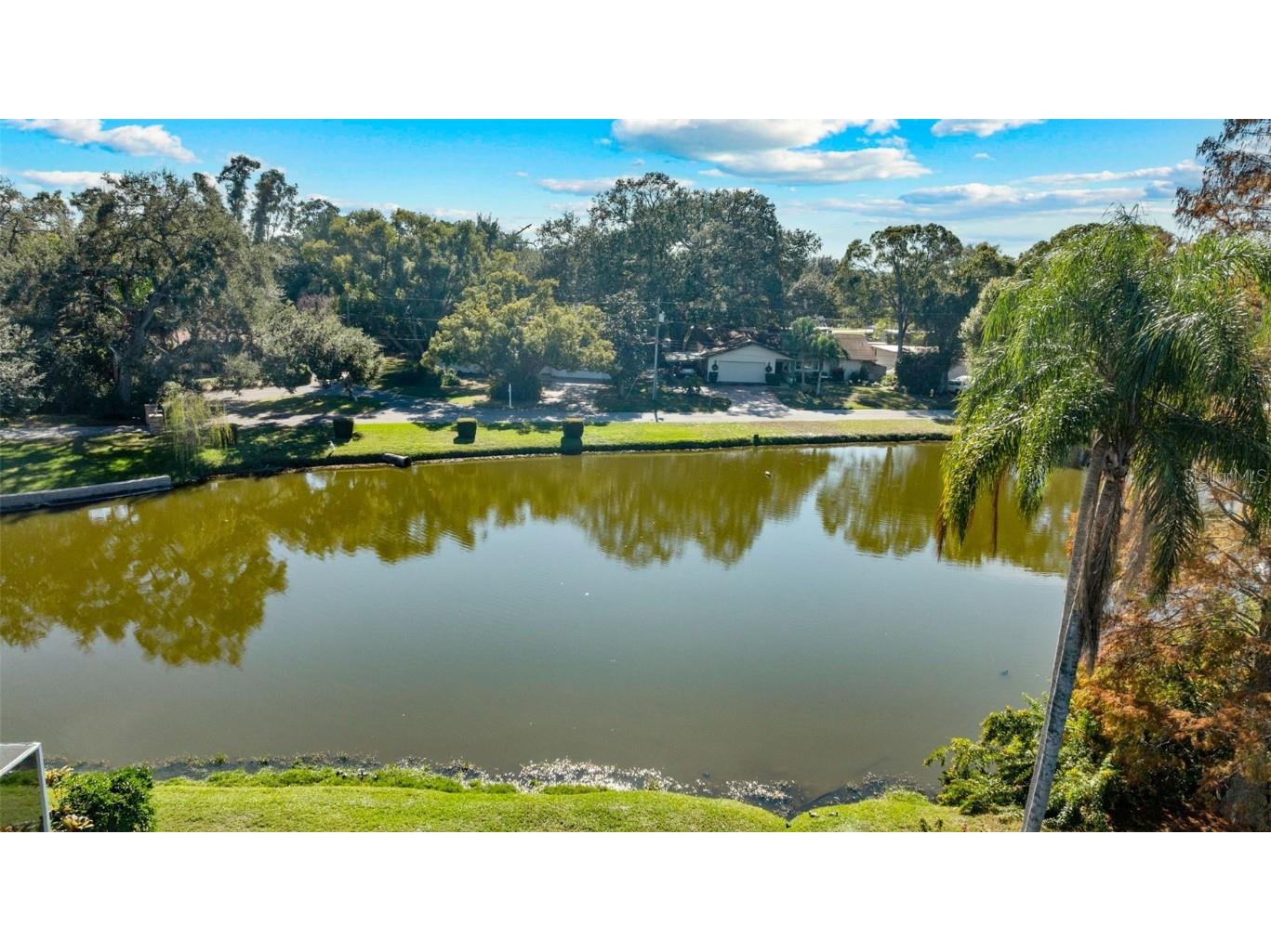 2227 Alice Lane Clearwater FL 33764 TB8455522 image6