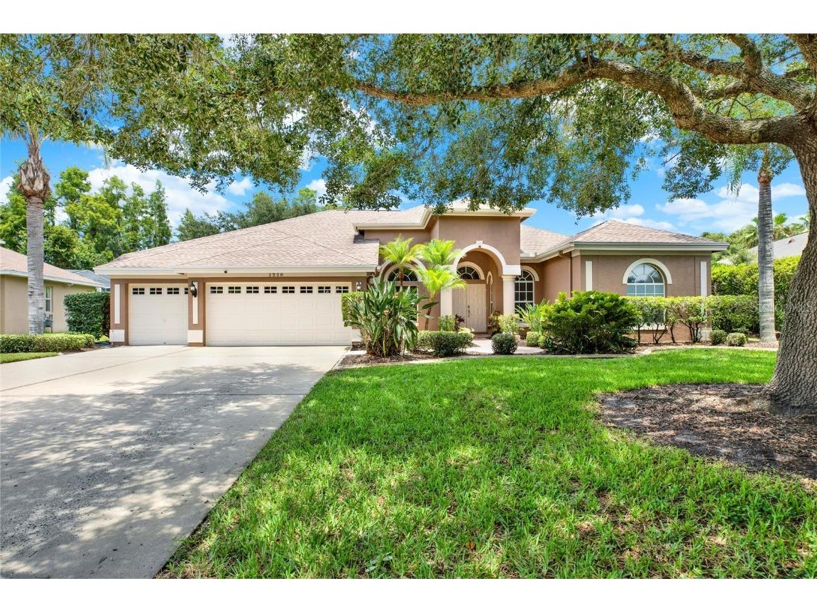 2228 Edelweiss Loop Trinity FL 34655 TB8408735 image1