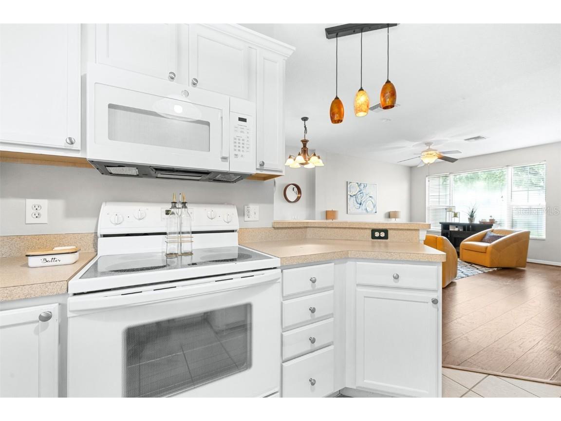 2228 Golden Oak Lane Valrico FL 33594 TB8415670 image26