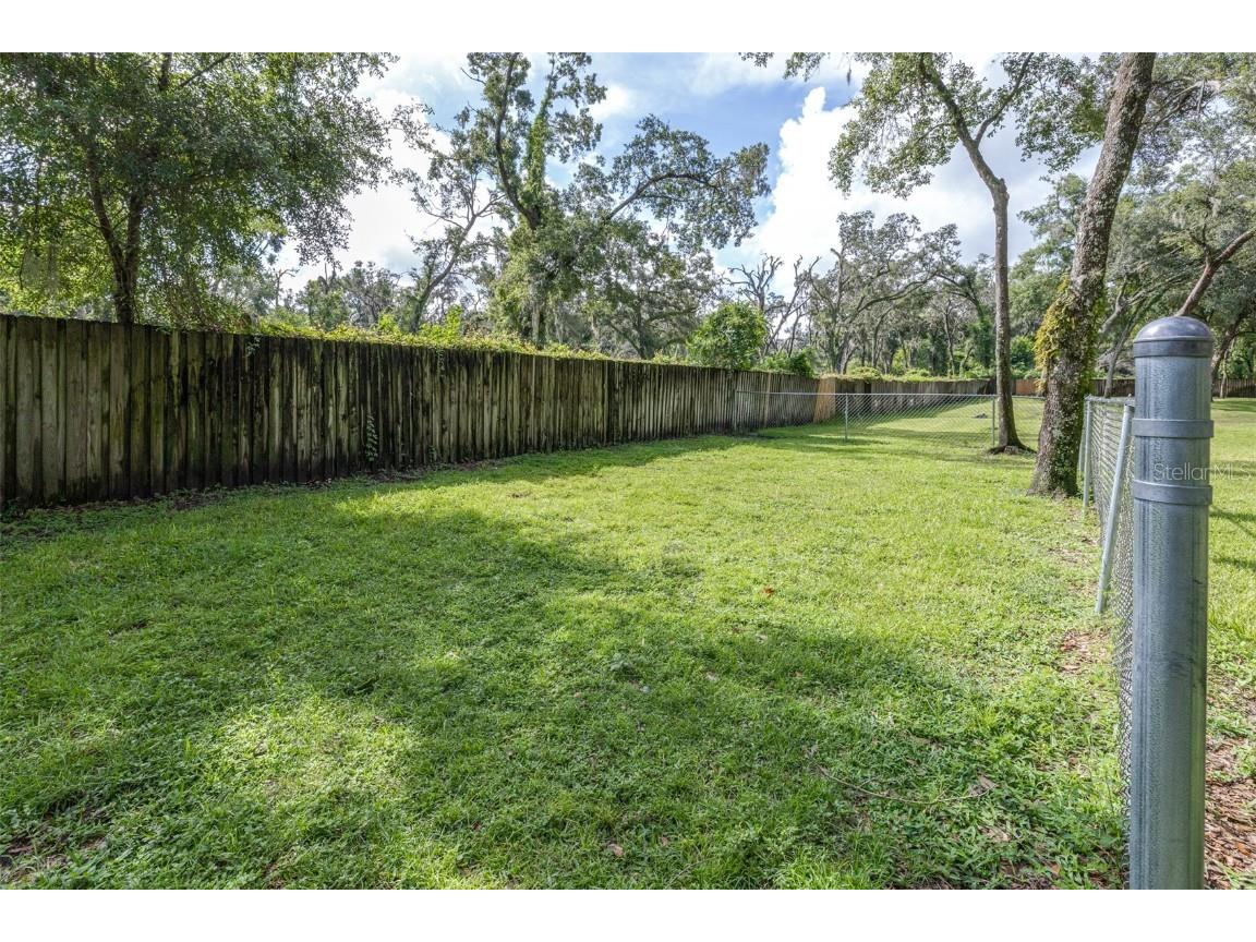 2228 Golden Oak Lane Valrico FL 33594 TB8415670 image47