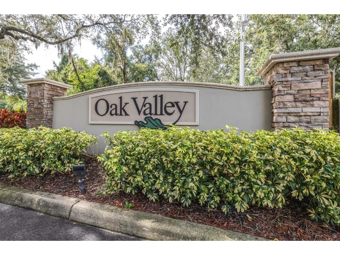 2228 Golden Oak Lane Valrico FL 33594 TB8415670 image50