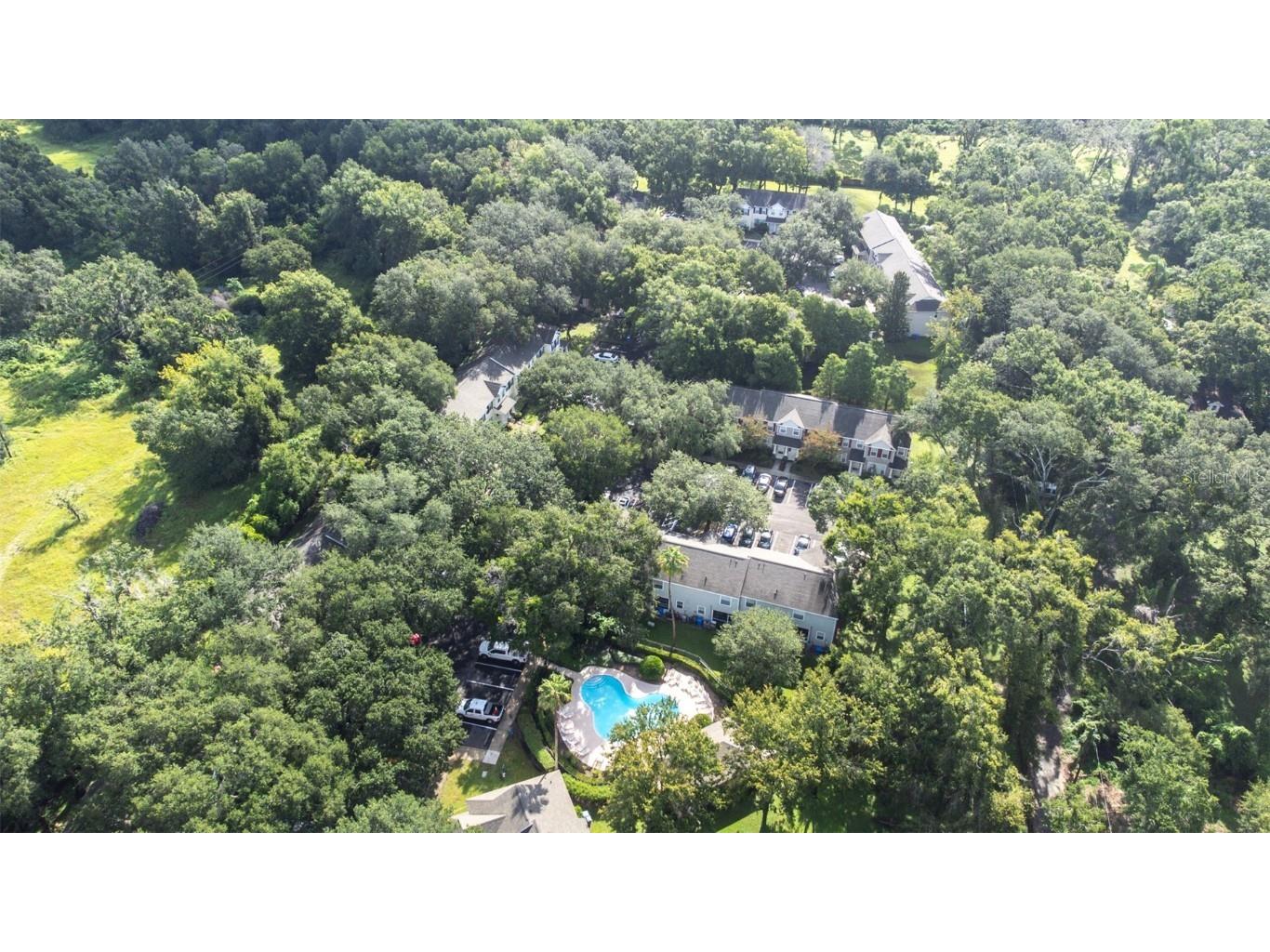 2228 Golden Oak Lane Valrico FL 33594 TB8415670 image56