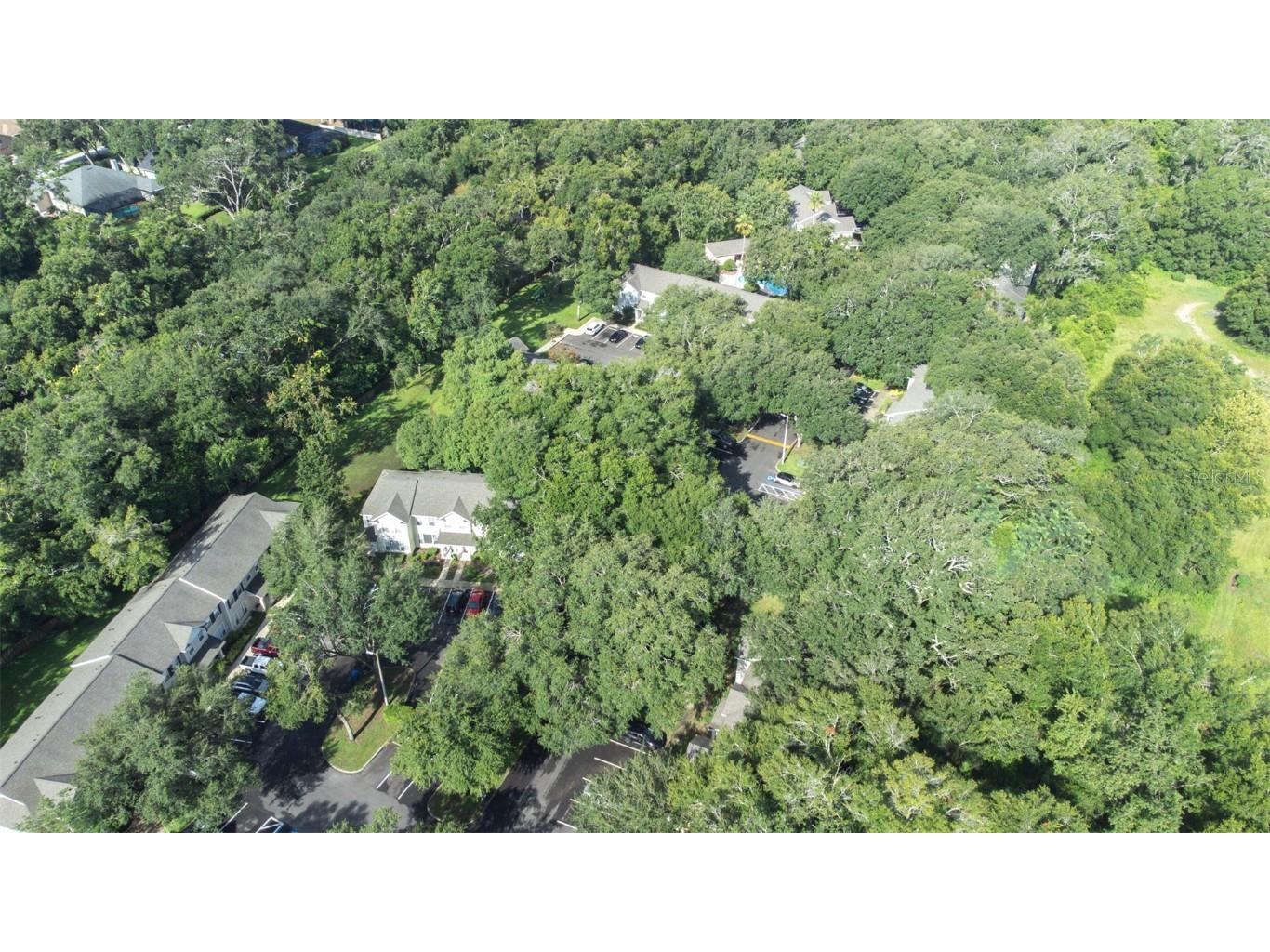 2228 Golden Oak Lane Valrico FL 33594 TB8415670 image57