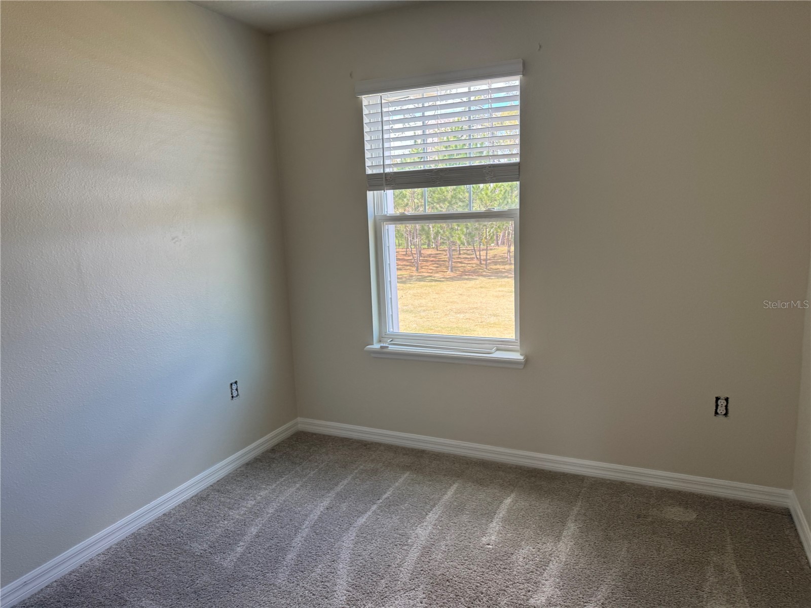 2228 Gopher Tortoise Terrace Oakland FL 34787 G5109117 image18
