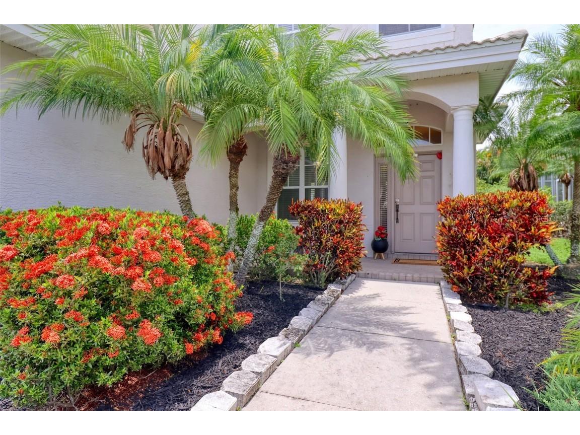 2228 Hannah Way S Dunedin FL 34698 TB8396786 image2