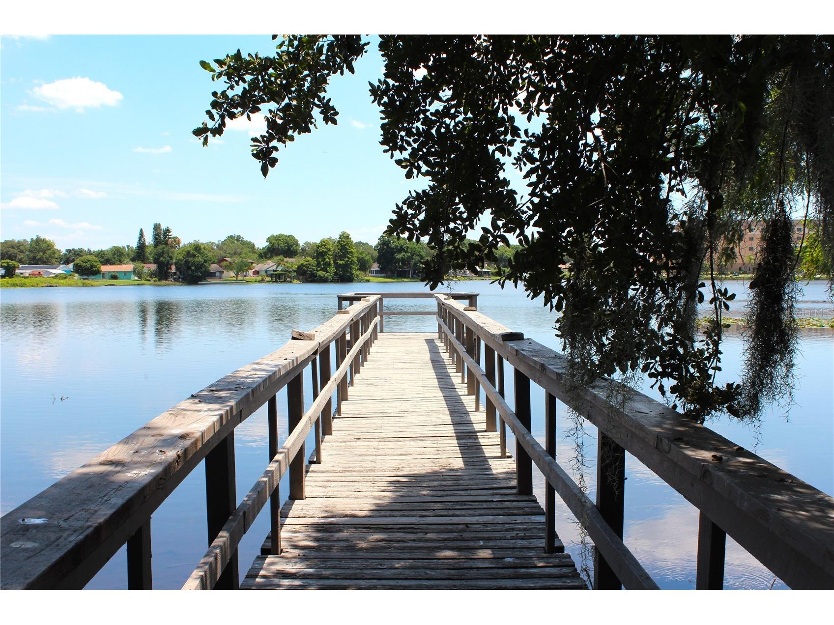 2228 Lake Holloway Boulevard Lakeland FL 33801 - LAKE HOLLOWAY L4960988 image49