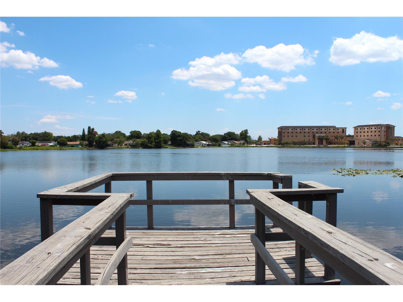 2228 Lake Holloway Boulevard Lakeland FL 33801 - LAKE HOLLOWAY L4960988 image50