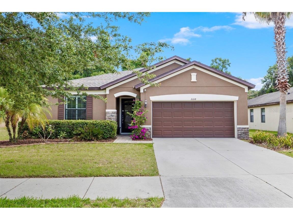 2228 Landside Drive Valrico FL 33594 T3529683 image1