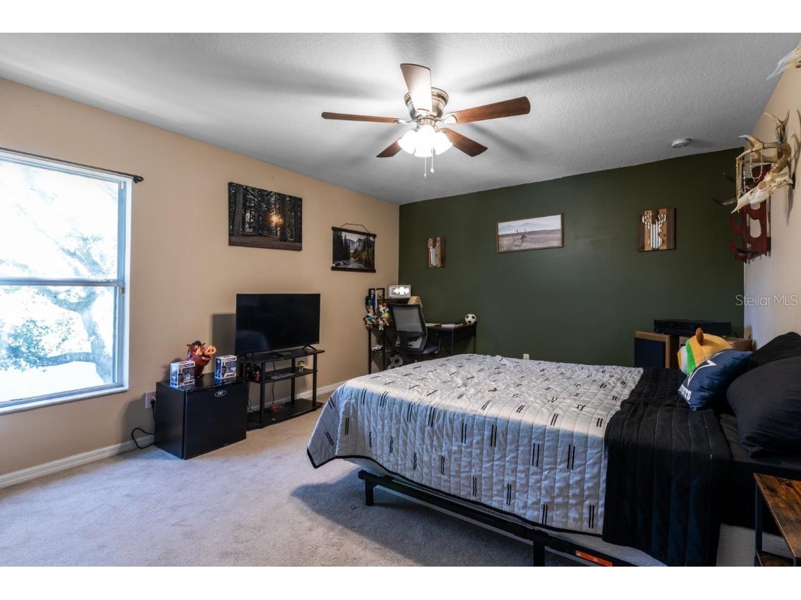 2228 Martins Run Tavares FL 32778 G5103266 image17