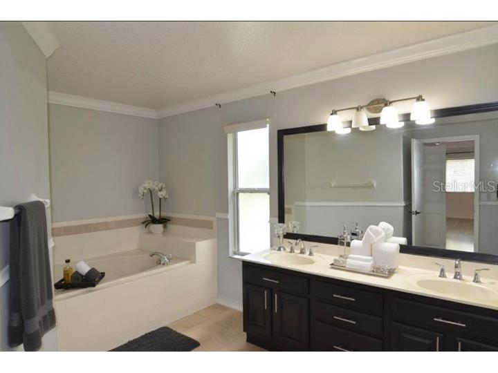 2228 Mountain Spruce Street Ocoee FL 34761 S5133276 image23