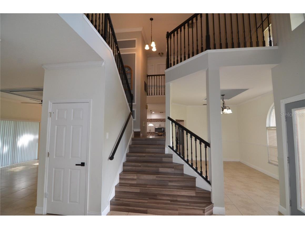 2228 Mountain Spruce Street Ocoee FL 34761 S5133276 image35