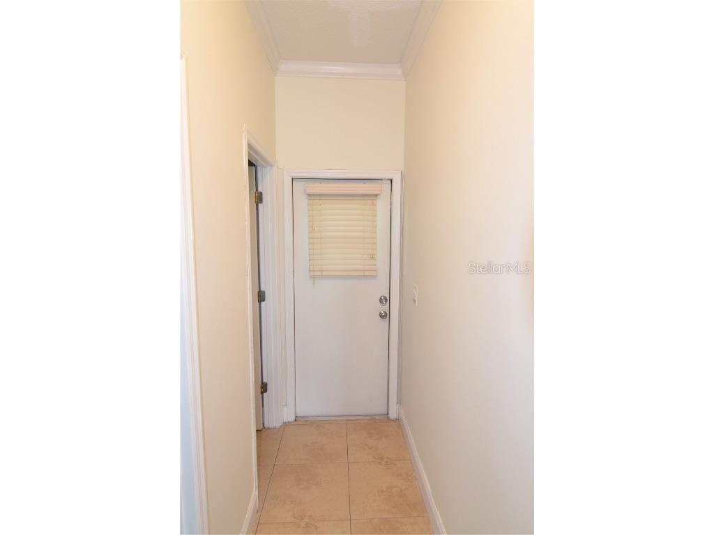 2228 Mountain Spruce Street Ocoee FL 34761 S5133276 image43