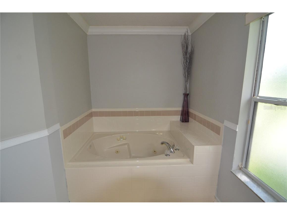 2228 Mountain Spruce Street Ocoee FL 34761 S5133276 image51