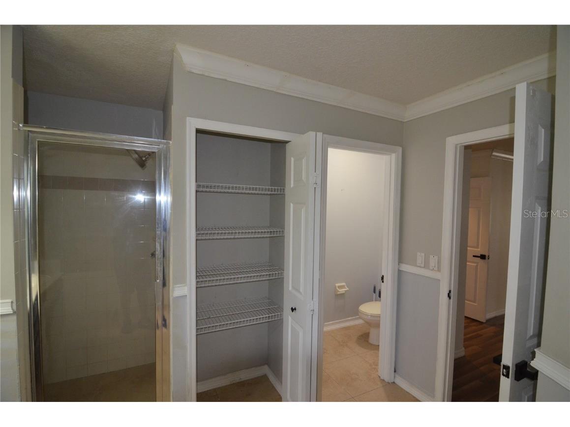 2228 Mountain Spruce Street Ocoee FL 34761 S5133276 image53