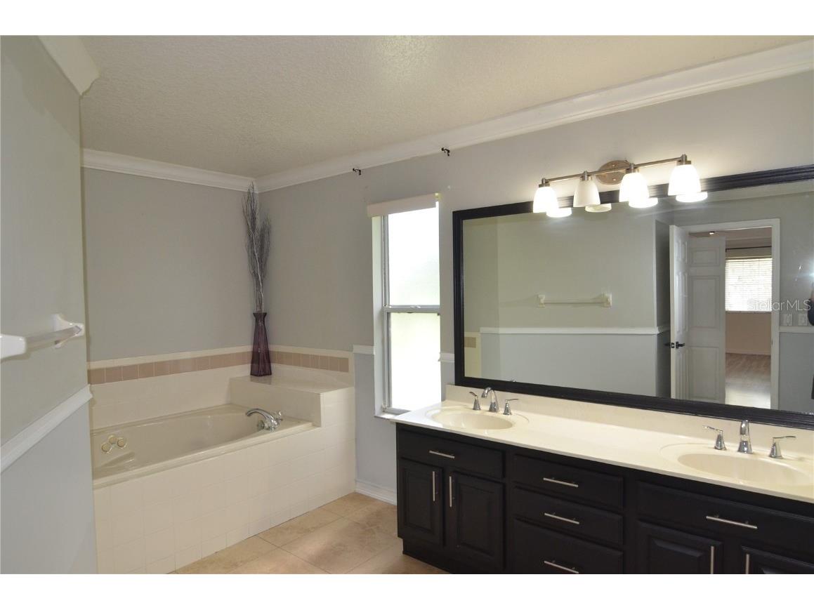 2228 Mountain Spruce Street Ocoee FL 34761 S5133276 image55