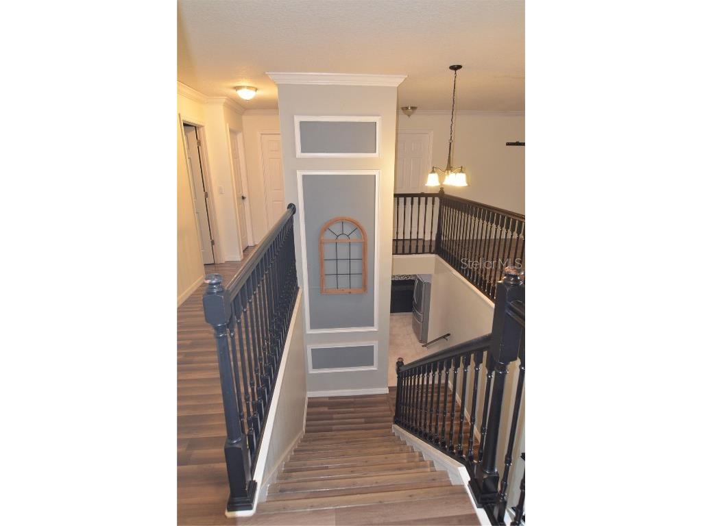 2228 Mountain Spruce Street Ocoee FL 34761 S5133276 image57