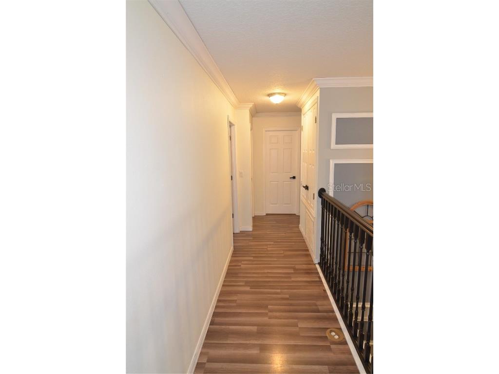 2228 Mountain Spruce Street Ocoee FL 34761 S5133276 image58